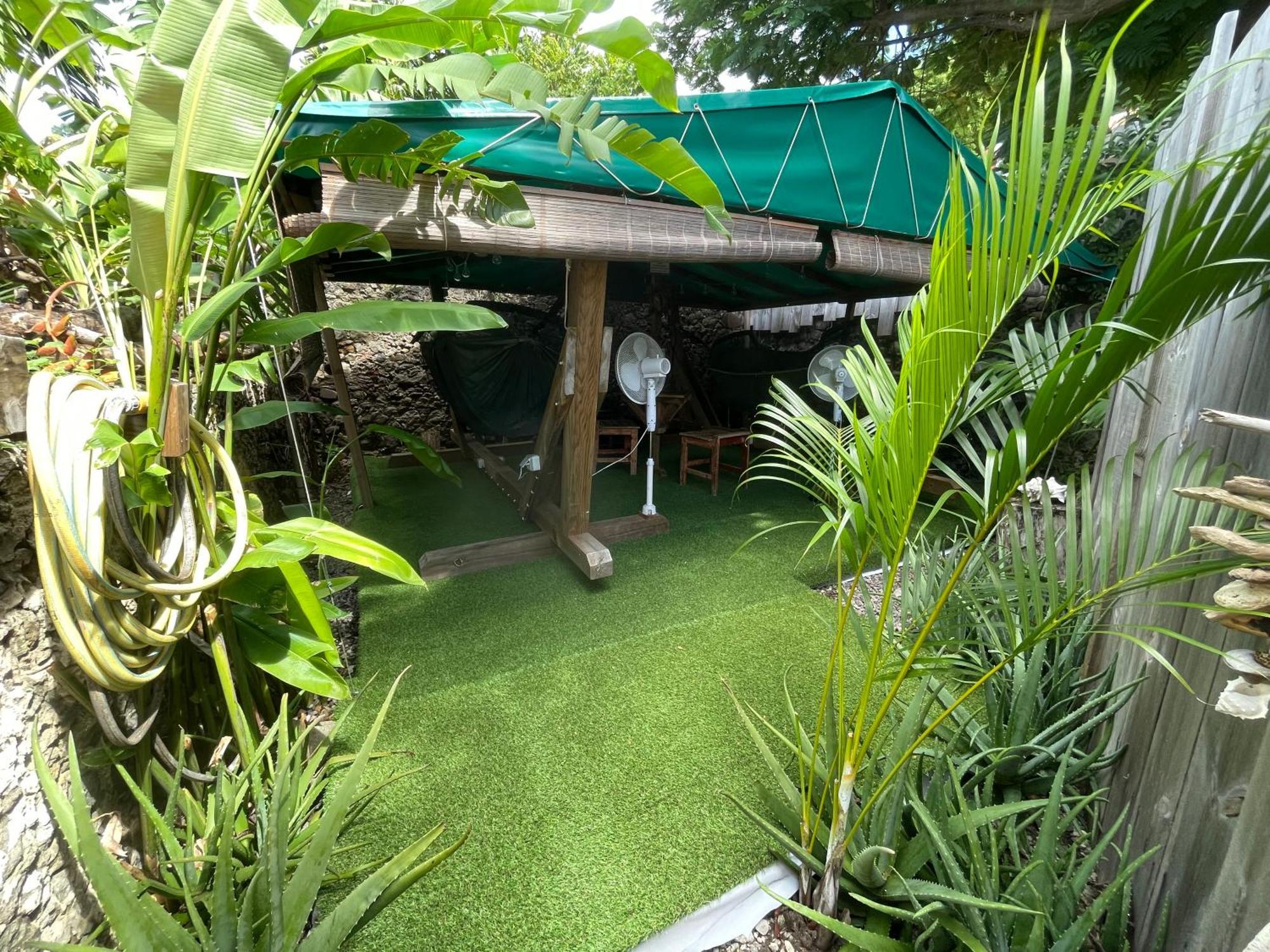 Hotel Les Hamacs Aux Saintes Terre-De-Haut Exterior foto